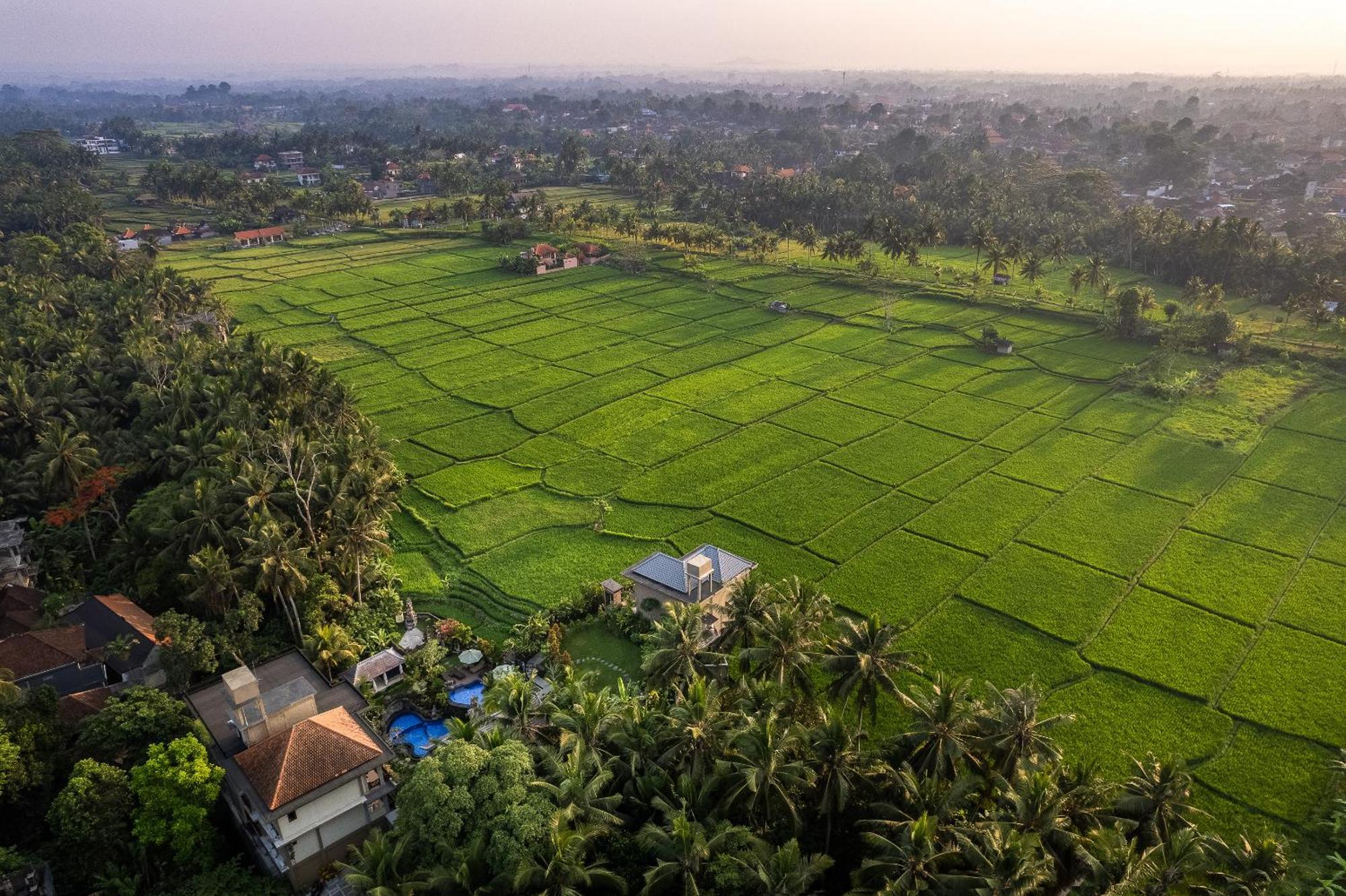 Gynandha Ubud Cottage المظهر الخارجي الصورة