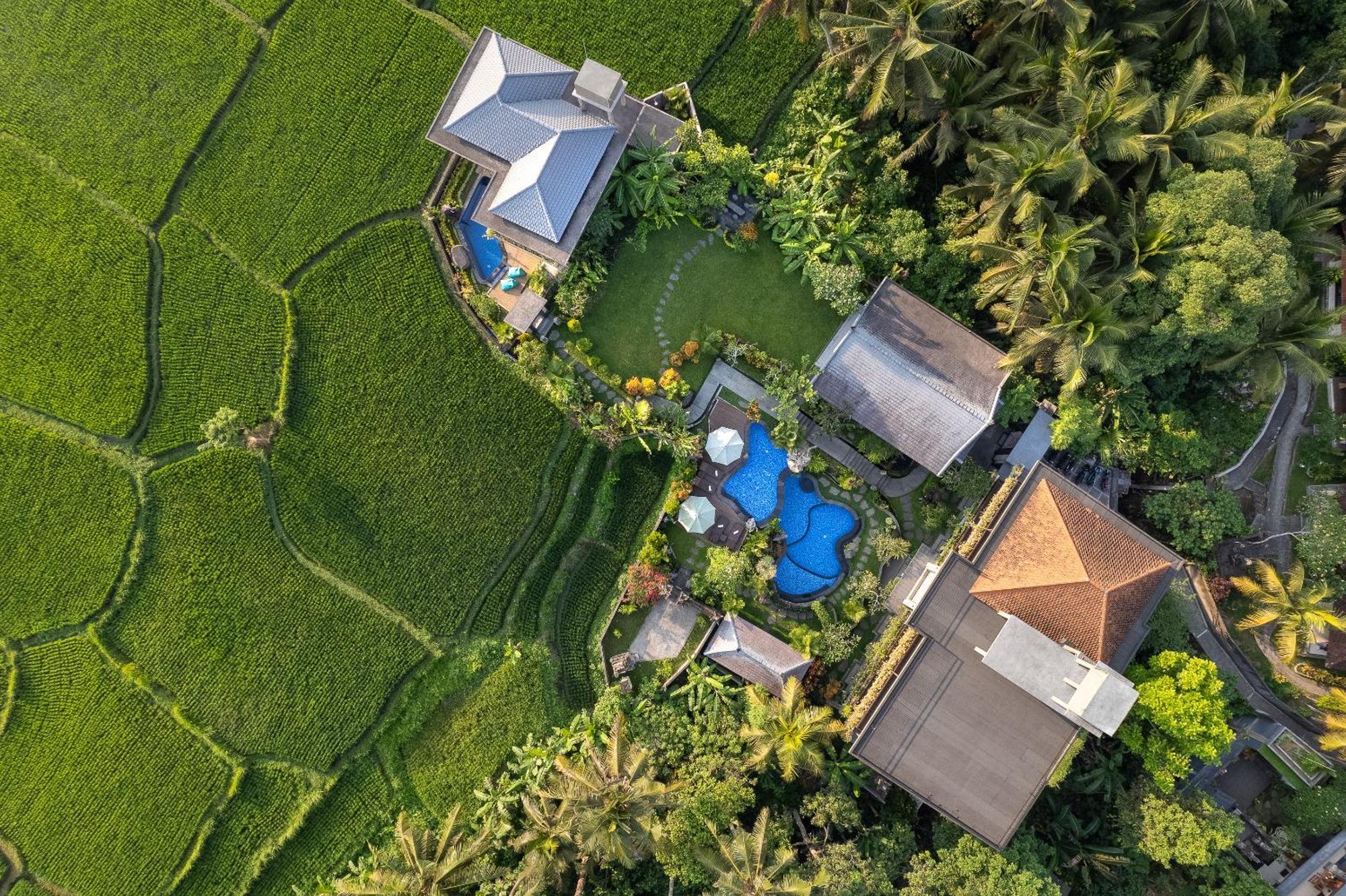 Gynandha Ubud Cottage المظهر الخارجي الصورة